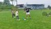 IMG-20250528-WA0016